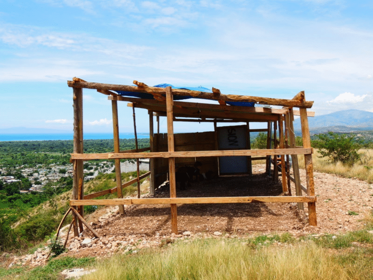 Maximizing Your Blog’s Reach: SEO Tips for Bloggers